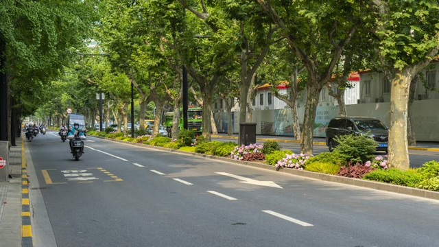 叮！你有一份上海秋日漫步地图待解锁→