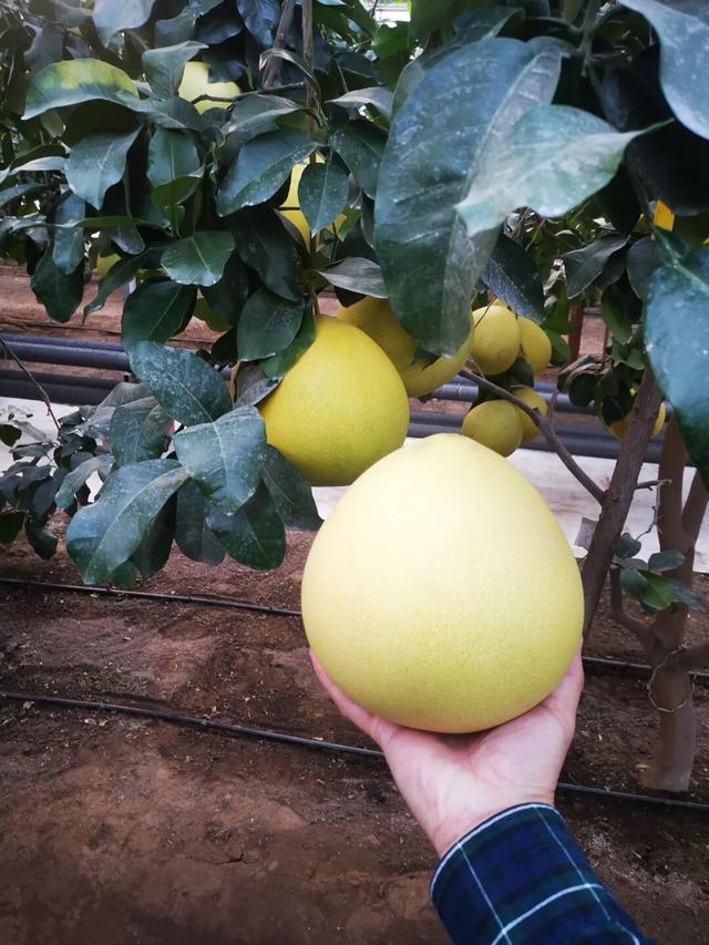 太全面了！8条游玩线路+京郊汤泉！带您玩转北京这里！（1）