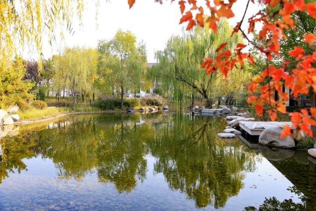 从从容容游刃有余!把江南的秋天“搬进”石景山——