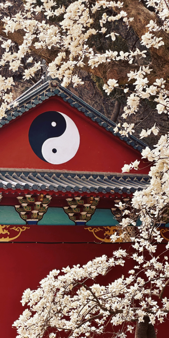 连云港春日“顶流”来啦！