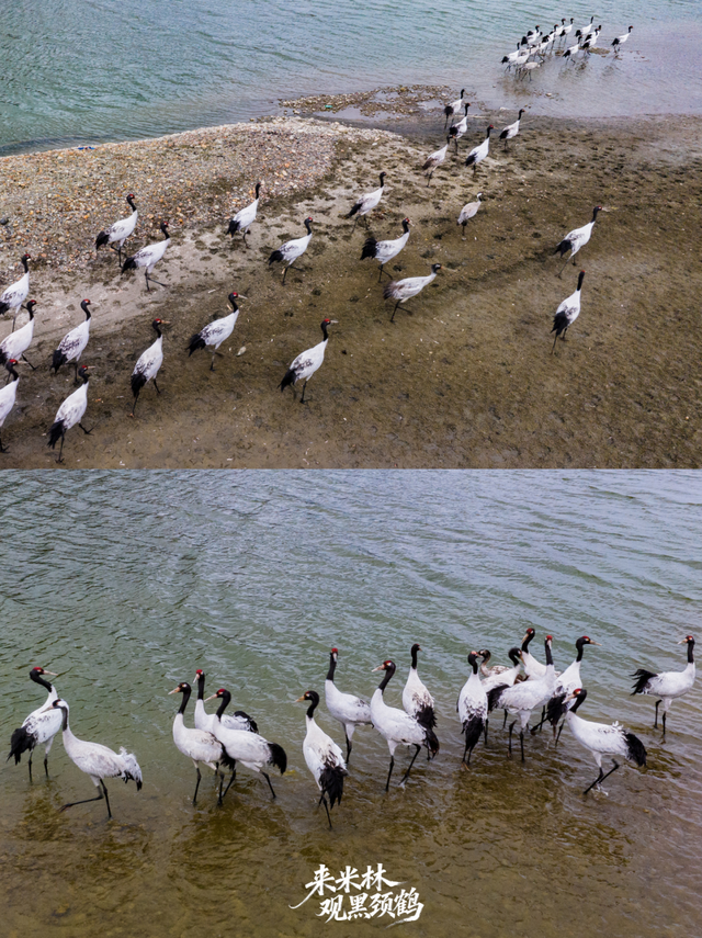 这个冬天，一定要来西藏看……