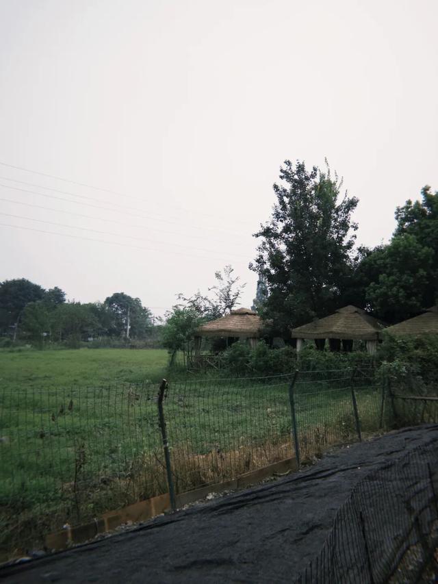 在成都西北郊区，这个渐渐淡出视野的最美乡村，还值得一去吗？