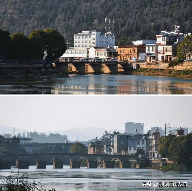 寻鸥潮玩！海口小渔村码头观鸥集市开市啦！