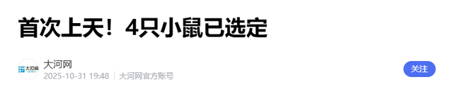神舟二十一号发射！4只小鼠被带进太空，航天员手腕黑带不简单