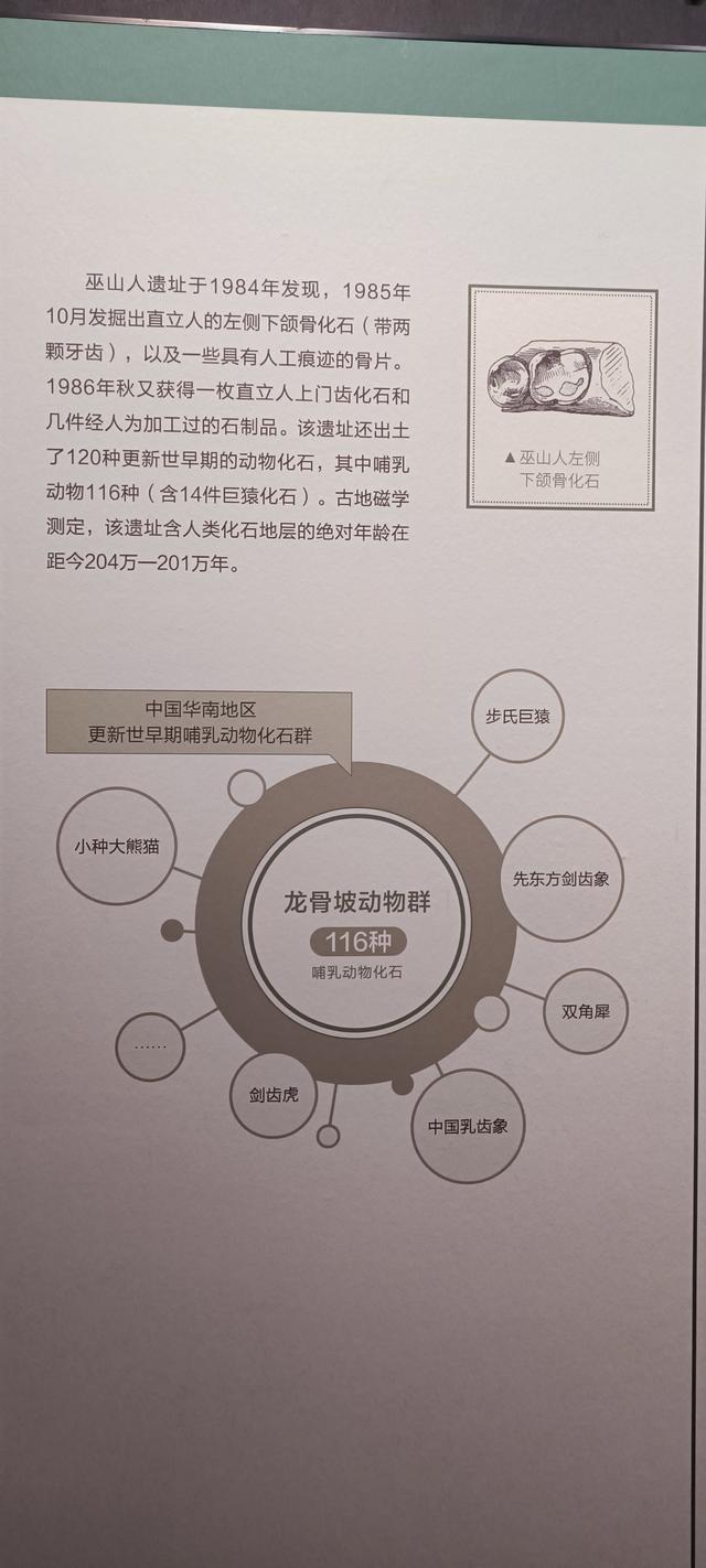 那么近，那么美，周末到商洛了——大美商洛秦岭博物馆