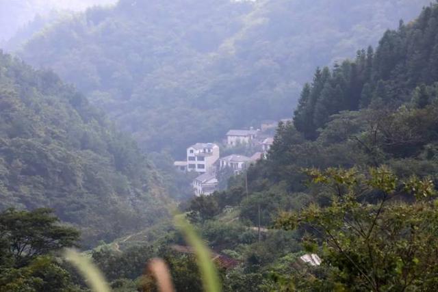 “山村收菜计划”再升级！杭城一批亲子家庭上周末驱车200公里赶到这个海拔600多米的小山村……