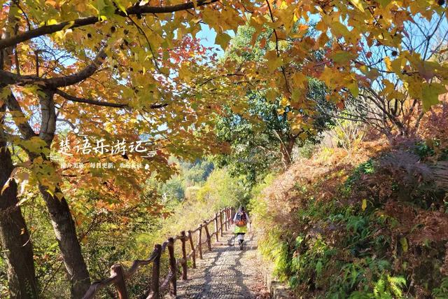 浙江宁波发现一条新的红枫古道，沿途风景犹如油画，拍照太出片