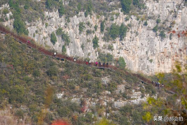 焦作窄门的深秋色彩！走五彩步道，赏太行红叶