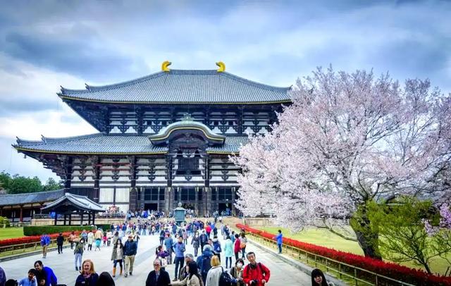 大批中国人依然执意去日本旅游,被日媒追问后,他们的回答太扎心