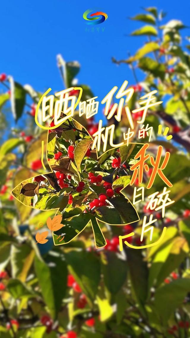 北疆文化 遇鉴赛罕 | 晒晒你手机中的赛罕秋色