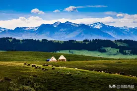 6月去伊犁，你一定不要掉进这些坑图片