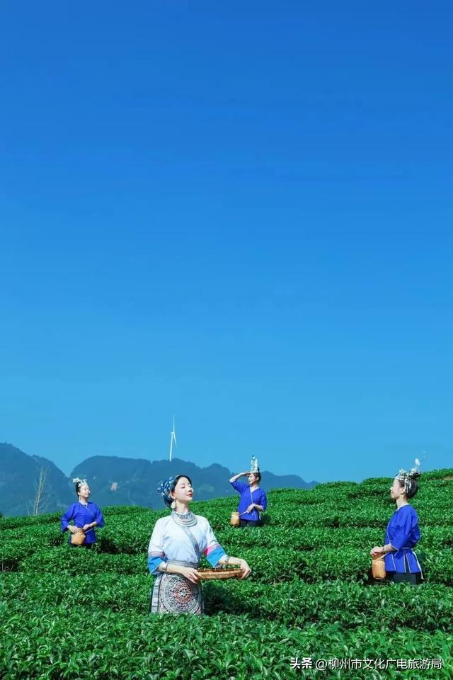 躲进三江的山水里，是治疗精神内耗的顶级解药