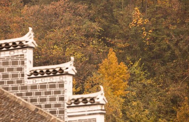 文化中国行 | 小雪：天冷了，给生活上个暖色