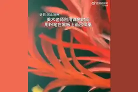 见者好运！粉笔画出的凤凰有多惊艳图片