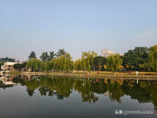 四川行(75)广汉②金雁湖公园·黑塔街·龙居寺