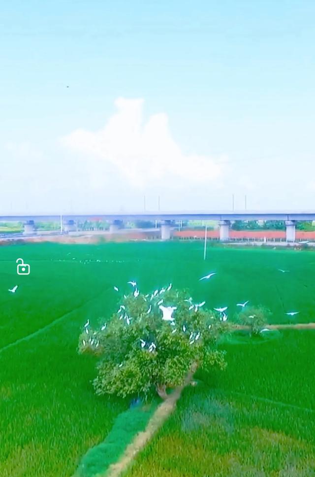 五律:立秋