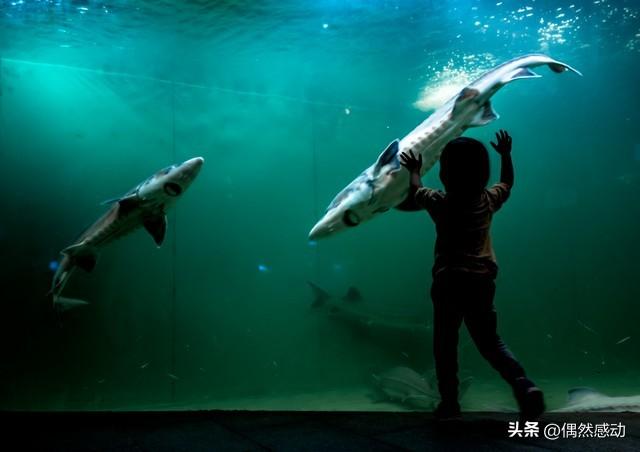 去了5次青岛，终于把青岛玩透了，盘点15个值得去的景点。