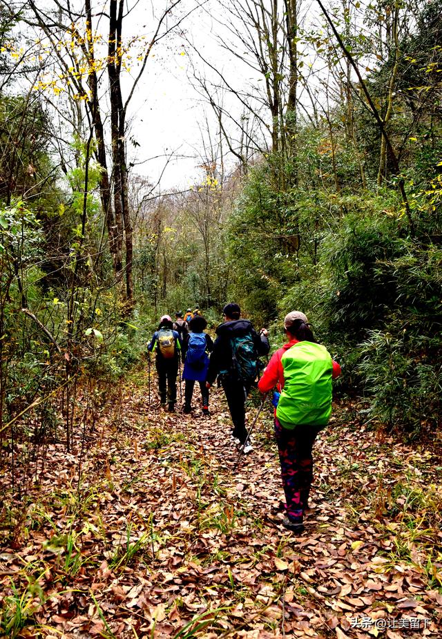 一条路，落叶无迹——贵州冬日风光