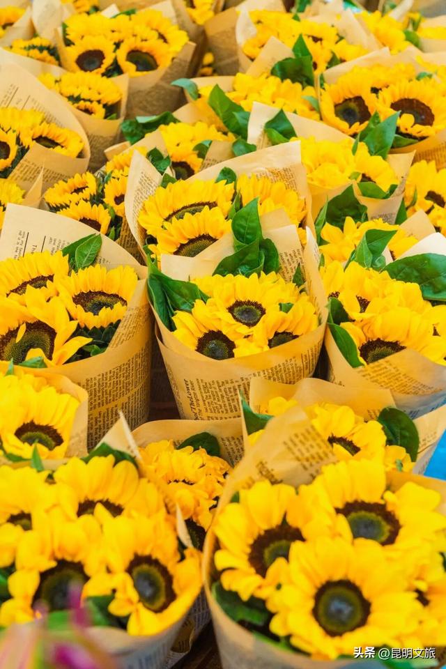 满屏治愈！这个冬日，你一定要去趟斗南花市，邂逅一场流动的彩色盛宴~