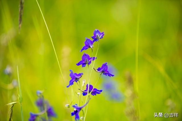 养老热议：如何守护晚年幸福？新型养老方式来了，挑战传统观念！