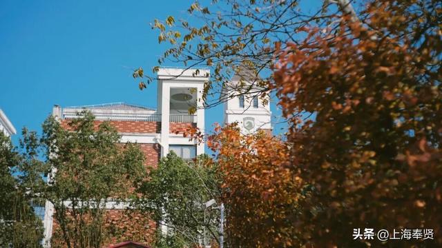 奉浦校园初冬美景大赏，你家娃的学校藏着这样的冬日浪漫