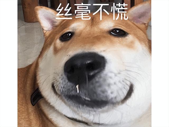 把玩家都给逼疯了！化身变态连美女NPC都不放过，竟只为提升帧数