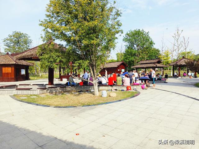 大雪时节，来汤山金乌公园晒暖阳、泡温泉（上）