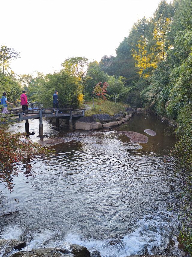 周宁自驾二日游：浦源村 (2025·10·5～6)