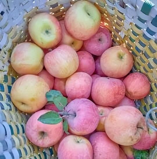 太全面了！8条游玩线路+京郊汤泉！带您玩转北京这里！（1）