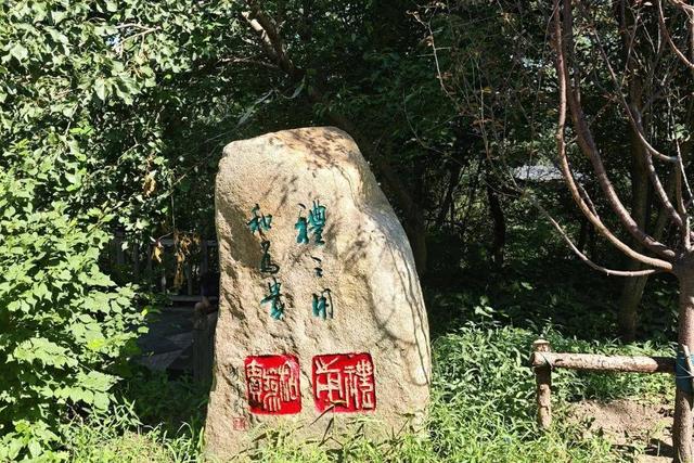 上新！上新！就在长春这些公园