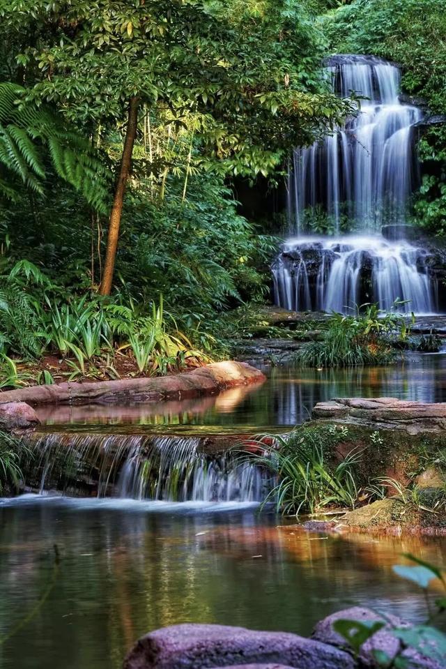 冬日竹海，限时特惠！淡季门票+超值年卡，承包一整年的美景