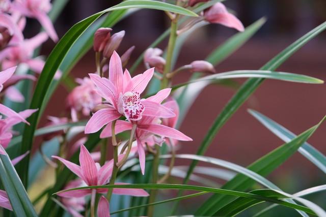 两性关系：为什么女人过了50岁，比年轻时更渴望这三种陪伴？