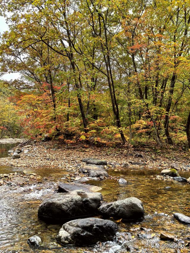 2025辽宁赏秋之旅日记(2)——游览丹东蒲石河森林公园