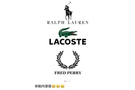 体制内的顶配中年男人，都在穿鳄鱼？图片