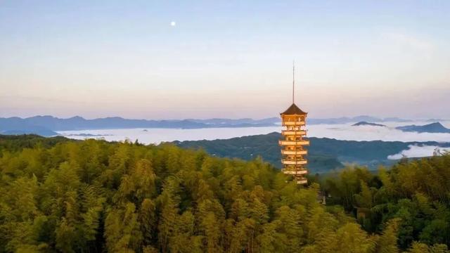 冬日竹海，限时特惠！淡季门票+超值年卡，承包一整年的美景