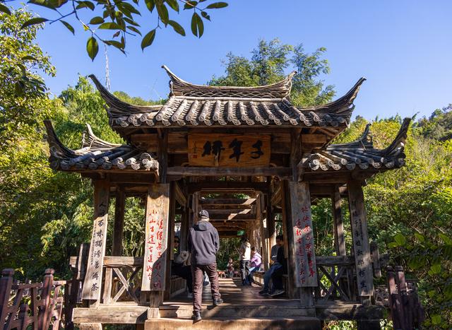 普洱游之那柯里