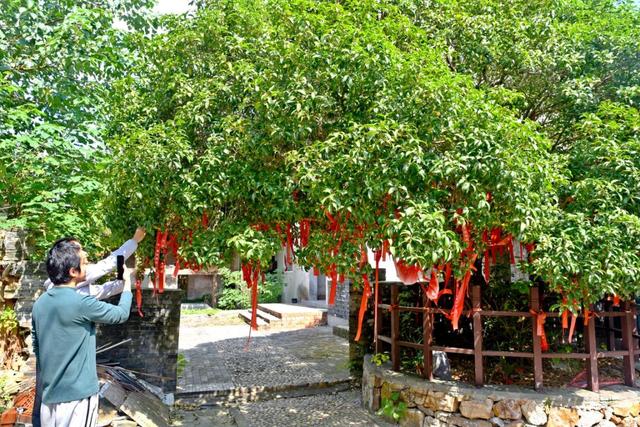 石山下村：农文旅融合绘新篇 千年古村焕发“新潮力”