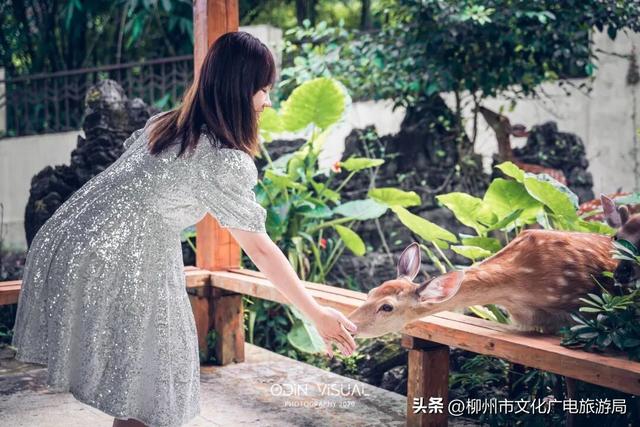 一个被严重低估的宝藏地！卸载48小时城市内卷，到鹿寨中渡加载山水与人间烟火