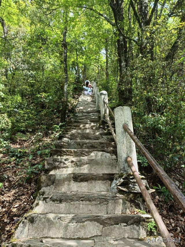 无为在歧路，贵州六日行（15）～梵净山