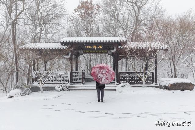 南京在大寒里突现“名场面”，据说都藏在这里，超值得玩。