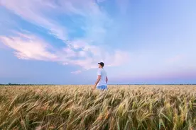 受用一生的7种顶级思维（深度好文）图片