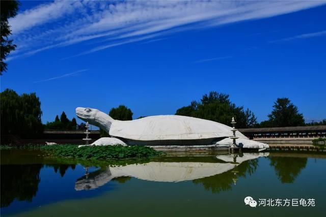 万平雪场+专业配套！这里已开园！解锁冬日速度与激情！