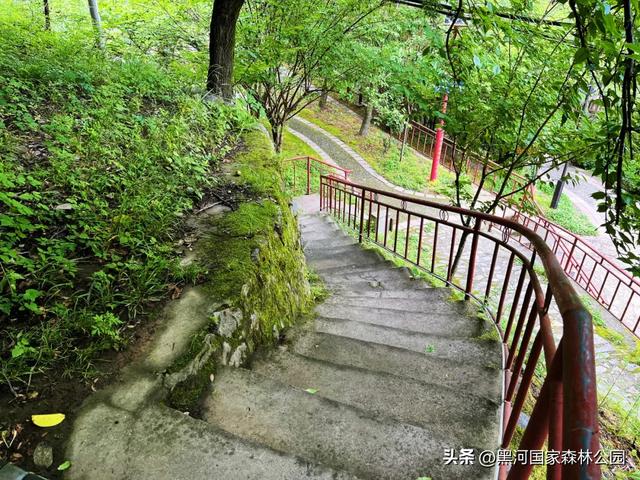 立秋已至，暑热未消，黑河山水与你相约“剩”夏的时光