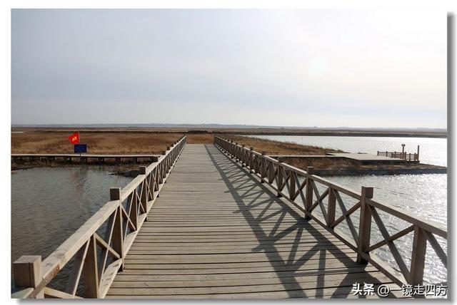 深秋时节，走进长春农安的波罗湖湿地