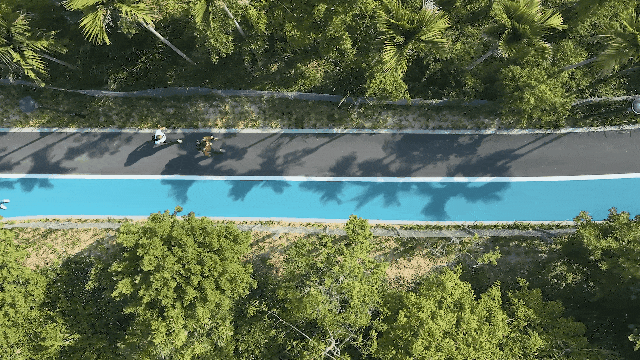 骑遇坪山① | 宝藏“高颜值”骑行线，拍出森系大片刷爆朋友圈