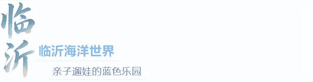 来临沂看日出！逛早市！一起「点靓」沂河的夜