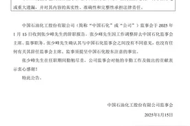 中国石化重要人事调整图片