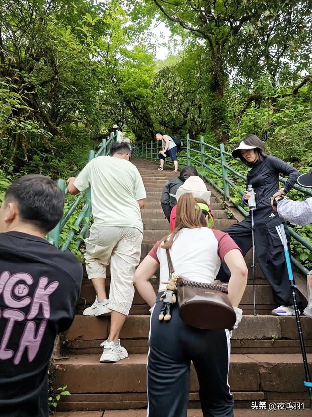 徒步瓦屋山,太艰难了,坚持下来不容易