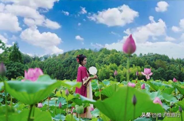 衢州4天3晚深度游攻略|穿越千年文 脉，解锁三省交界的清凉秘境