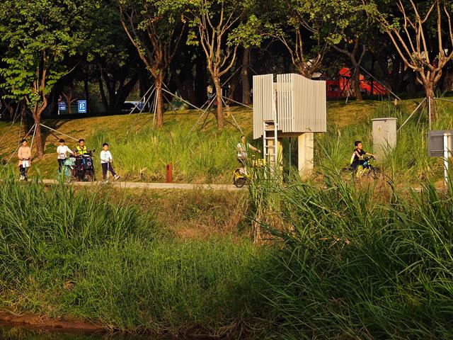 环西丽湖绿道骑行慢行随拍-动个好奇心